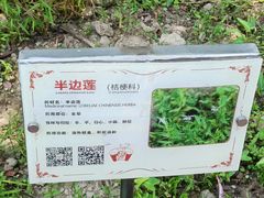 -广州神农草堂中医药博物馆
