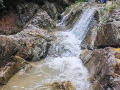 -南海湾森林生态园