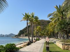-日落吧·海景咖啡厅·餐酒吧·鸡尾酒·下午茶·乐队表演·浪漫夕阳·三亚文华东方酒店