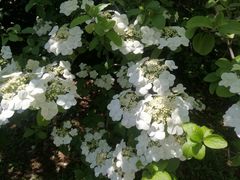 -南通博物苑-崇川人民公园