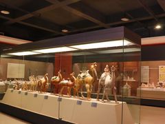 -西安大唐西市博物馆