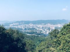 -火炉山森林公园