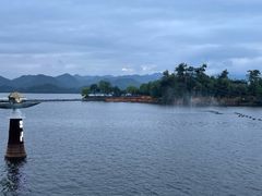 -宝荣鱼馆·临湖之宴(千岛湖店)