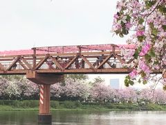-海珠湖公园