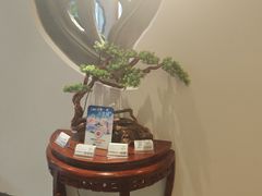 -中国徽菜·徽商故里(广安门店)