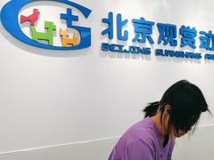 -北京观赏动物医院·24小时大型综合·猫专科·异宠专科