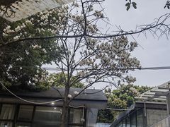 -凤来栖·净庭院·火锅(欧尚店)