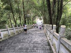 -成都老君山
