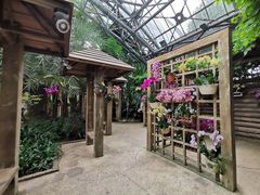 -南山植物园