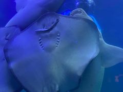 -合肥海洋世界