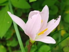 -白鹭湾湿地公园