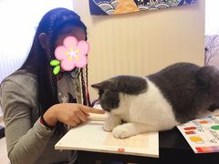 -猫音日语留学培训