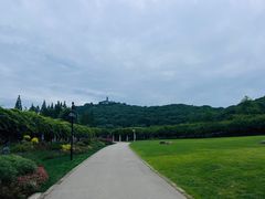 -苏州上方山国家森林公园