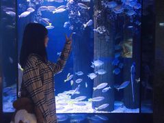 -成都浩海立方海洋公园