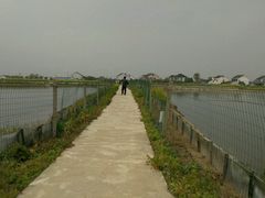 -喜洋洋蟹庄(阳澄湖店)