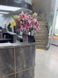 -苏奇发型·烫发染发