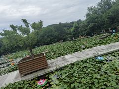 -白马涧龙池景区