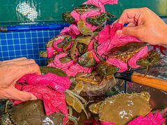 -辣螃铠盆盆蟹大排档(总店)