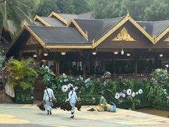 -西双版纳原始森林公园