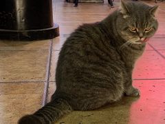 -B.O.M波姆烘焙(凤凰街店)