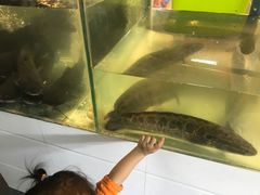 -湄公河秘制烤鱼(西双十贰城商业中心店)