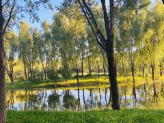 -东郊湿地公园
