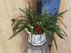 -麦悠悠·SPA·推拿(太阳山路店)