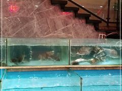 水产区-饭怕鱼(阳光100店)
