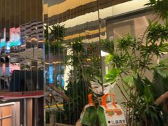 -桂满陇·海市蜃楼·黑金(国金店)