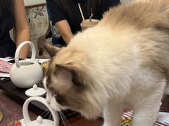 -剧狐剧本杀(徐汇1号店)