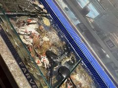 -丰卓会海鲜自助(中润大道店)