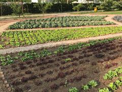 -意大利农场度假村