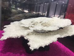 -游龙石文化科普馆