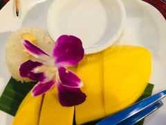 -卷心菜和避孕套餐厅(Pattaya)