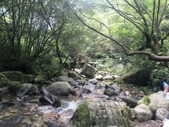 -牛背梁国家森林公园