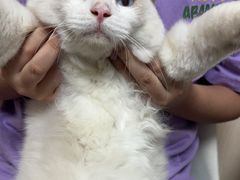 -宠颐生宠物医院外科·内科·皮肤科·影像科(石龙店)