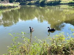 -沈阳森林动物园