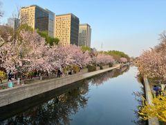 -元大都城垣遗址公园