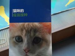 -芭比堂动物医院·犬猫全科·异宠专科(雁塔分院)