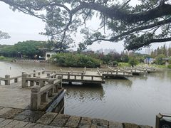 -江心屿景区