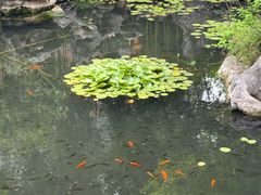 -苏州冶园园林民宿(太湖西山风景区店)
