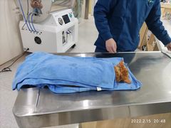 -谐和贝康宠物医院24小时·宠保定点(急重症转诊中心)