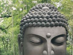 -杭州植物园