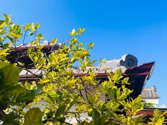 -中村藤吉(本店)