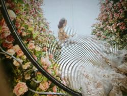 点击看大图 -太郎花子婚纱摄影艺术中心