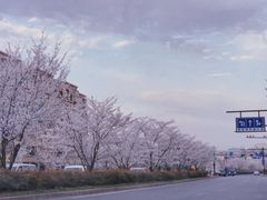 -雅鲁激流探险漂流