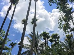 -海南槟榔谷黎苗文化旅游区
