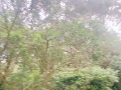 -大姆山草场