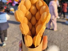 -中华孝德园