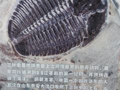 -房山世界地质公园博物馆